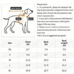 Floral Princess Dog Dress, Flower Puppy Apparel For Mini To Medium Dogs, Breathable And Soft, Perfect For Outings - Image 3