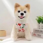 Small Dog Flower Princess Dress Kitty Teddy New Pet Clothes Cute Dog Skirt Summer Thin Pet Accessories Chihuahua Apparel - Image 6