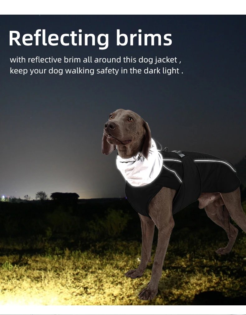 Dog Clothes Luxury Winter Jacket for Small Medium Large Dogs Waterproof Soft Padded Warm Pet Coat Safety Reflective Dog Outfit Dog Clothes Luxury Winter Jacket for Small Medium Large Dogs Waterproof Soft Padded Warm Pet Coat Safety Reflective Dog Outfit