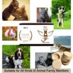 Personalized Custom Name Wooden Carving Pet Hair Storage Box Pet Supplies Dog Save Teeth Memorial Boxes Pet Lost Memorial Gifts - Image 2