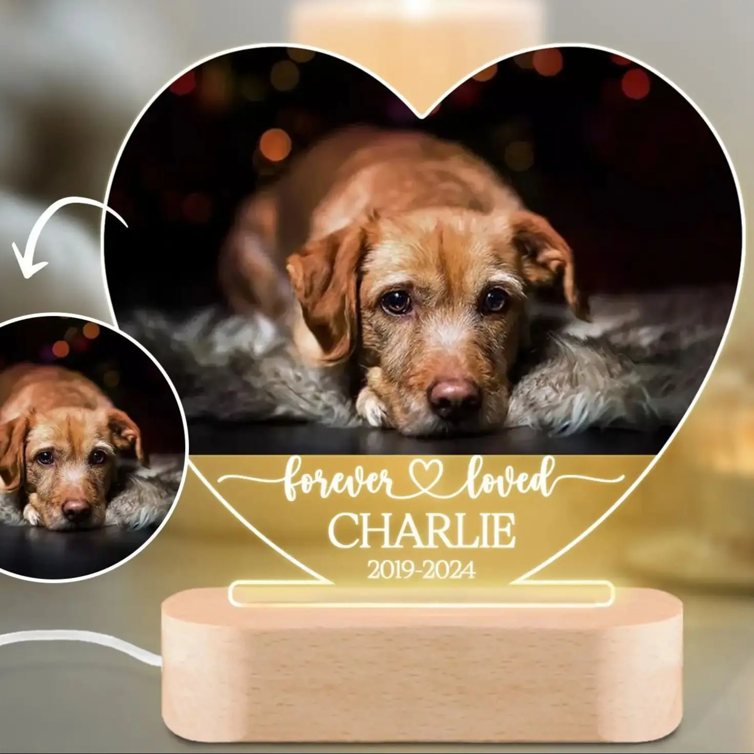 Custom Dog Photo Night Light Pet Memoral Gift Light Up Pet Memorial Plaque Cat Photo Gift Personalized Gift for Pet Loss Custom Dog Photo Night Light Pet Memoral Gift Light Up Pet Memorial Plaque Cat Photo Gift Personalized Gift for Pet Loss