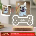 Custom Dog Photo Night Light Pet Memoral Gift Light Up Pet Memorial Plaque Cat Photo Gift Personalized Gift for Pet Loss - Image 6