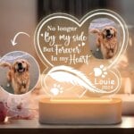 Custom Dog Photo Night Light Pet Memoral Gift Light Up Pet Memorial Plaque Cat Photo Gift Personalized Gift for Pet Loss - Image 2