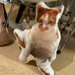 Customized pet photos, plush pillows, personalized cat and dog shaped sofa cushions for people aged 14 and above