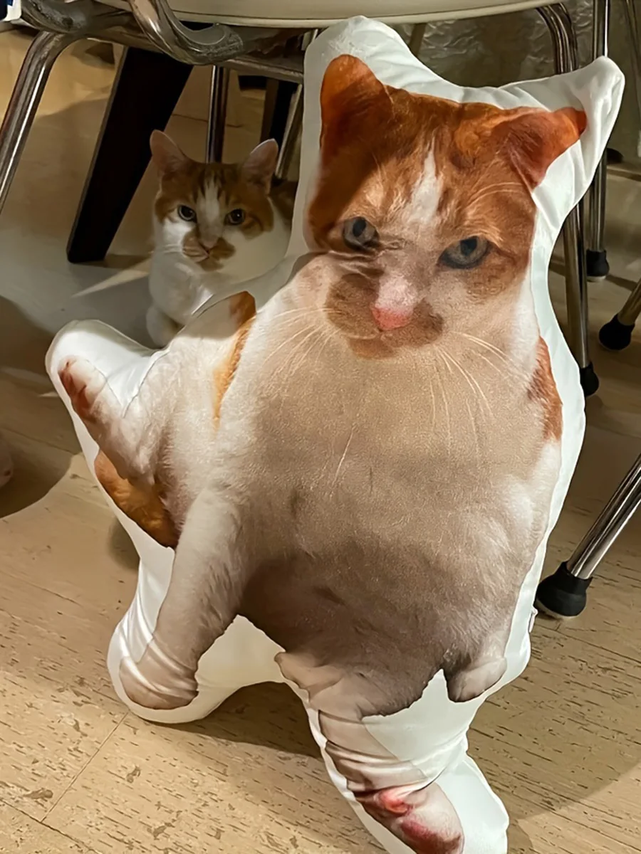 Customized pet photos, plush pillows, personalized cat and dog shaped sofa cushions for people aged 14 and above Customized pet photos, plush pillows, personalized cat and dog shaped sofa cushions for people aged 14 and above