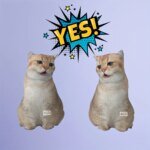 A customizable pet pillow, personalized 3D portrait plush toy for cats and dogs, mini animal pillow toy - Image 3