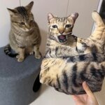 A customizable pet pillow, personalized 3D portrait plush toy for cats and dogs, mini animal pillow toy