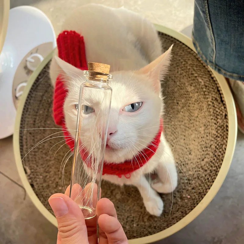 Cat Beard Storage Bottle Collect Luck Commemorative Pet Hair Cat Dog Teeth Preservation Souvenir Beard Collection Bottle