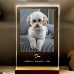 Personalized Pet Memorial Plaque with LED Light Custom Dog Cat Photo Light Up Keepsake Gift for Pet Dog Cat Lovers