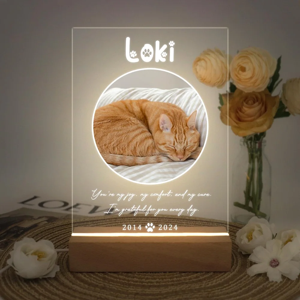 Personalized Pet Memorial Night Light Custom LED Photo Frame with Name Date Acrylic Wooden Stand for Loss Dog Cat Home Decor