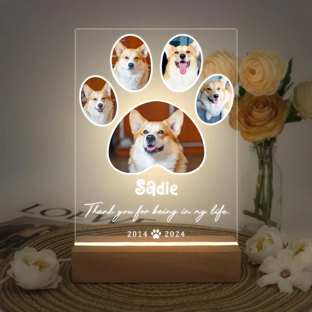 Personalized Pet Memorial Night Light Custom LED Photo Frame with Name Date Acrylic Wooden Stand for Loss Dog Cat Home Decor