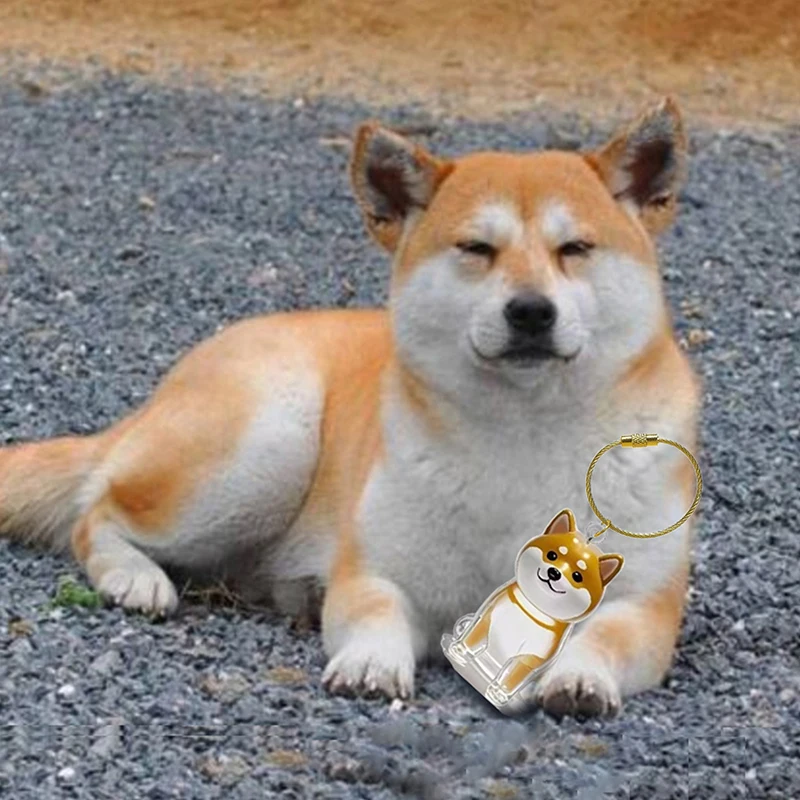 Clear Pet Hair Memorial Keepsake Capsule Dog Fur Container DIY Pendant Keychain Decor Animal Lovers Home Display Gift Idea Clear Pet Hair Memorial Keepsake Capsule Dog Fur Container DIY Pendant Keychain Decor Animal Lovers Home Display Gift Idea