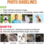 Custom Pet Memorial Stones Pet Grave Stones Personalized Dog Memorial Gifts for Loss Memorials & Funerary Support Dropshipping - Image 6