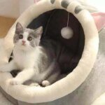 1PC Warm Winter Four Seasons Universal Semi-Closed Cute Comfortable Cat Nest Bed Warm Pet Nest - Image 3