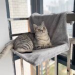 Hanging Cat Bed Removable Cat Hammock Pet Luxury Radiator Beds Nest With Strong Durable  Warm Basket Cat Accessories Pet Supplie