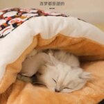 Kawaii Removable Cats Bed House Home Supplies Products for Adult Cats Large Pet Dog Bed Cat's House Cave Comfortable  Food Cute - Image 5