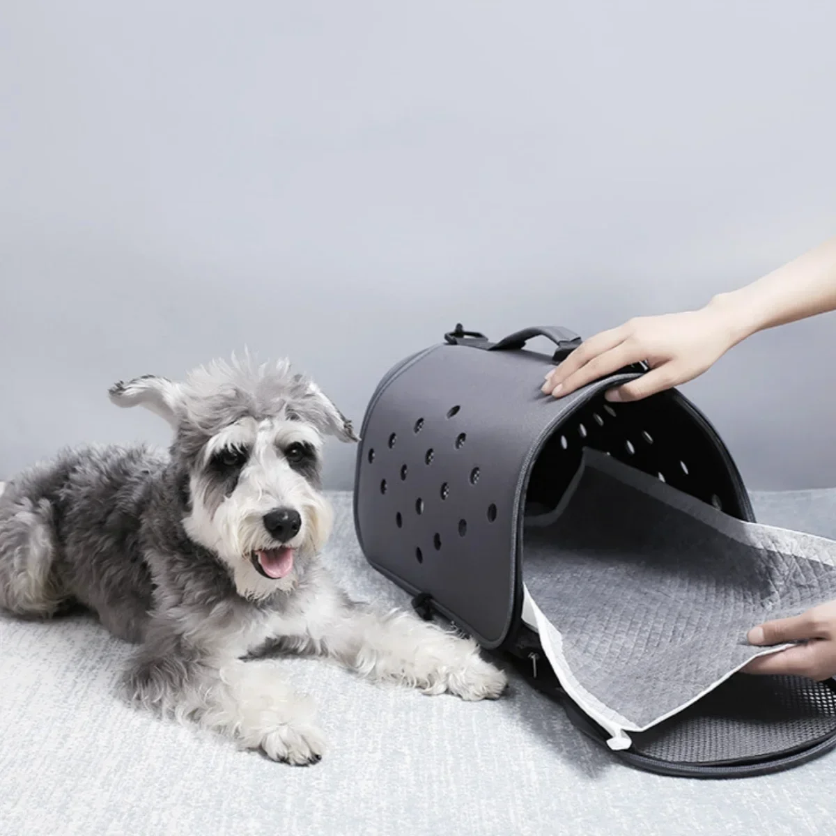 100/50/40/20PCS Absorbent Dogs Diapers Disposable Puppy Training Pee Pads Quick Dry Bamboo Charcoal Surface Mat Clean Cushion 100/50/40/20PCS Absorbent Dogs Diapers Disposable Puppy Training Pee Pads Quick Dry Bamboo Charcoal Surface Mat Clean Cushion