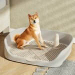 Large Size Pet Litter Box-Portable Dog Training Toilet with Puppy Pad Holder Tray Indoor Dog Potty & Pet Toilet for Puppies/Dogs - Image 4