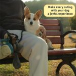 Dog Pet Travel Foldable Pooper Scooper Portable and Handheld Size Pet potty Fecal Collector Cleaning Tool With 1 Roll Trash bags - Image 4