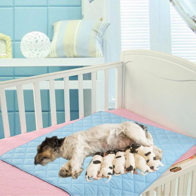 Thicken Reusable 3 Layers Pet Diaper Pad Quickdry Urine Nappy Waterproof Pee Mat for Cats Dog Diaper Deodorant Pet Supplies