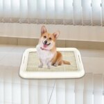 Dog Toilet Anti Slip Removable Mesh Potty Training Tray Puppy Pee Pad Holder for Small Dog Cat Pet Cleaning Supplies - Image 3