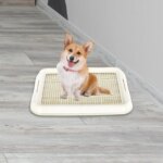 Dog Toilet Anti Slip Removable Mesh Potty Training Tray Puppy Pee Pad Holder for Small Dog Cat Pet Cleaning Supplies - Image 2