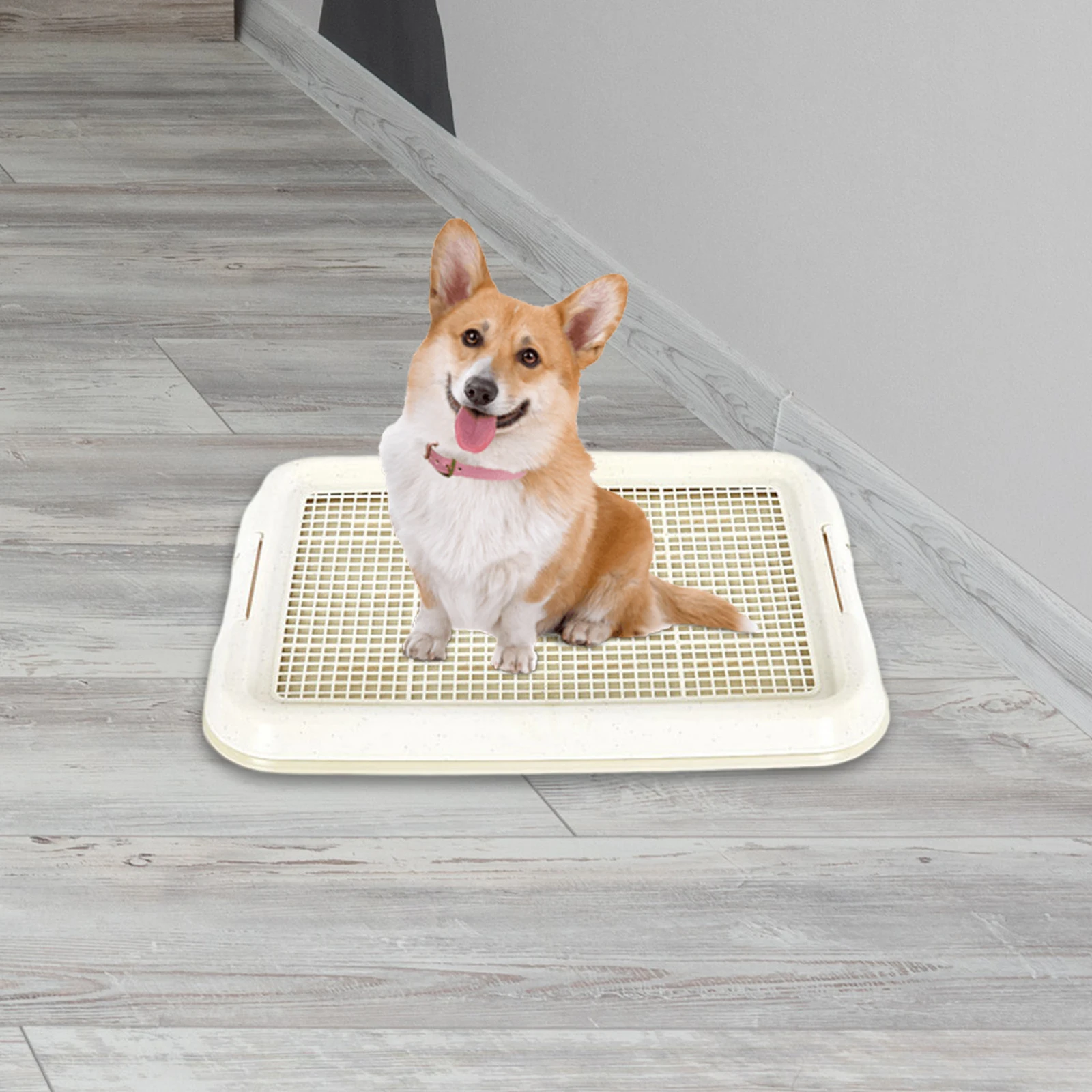 Dog Toilet Anti Slip Removable Mesh Potty Training Tray Puppy Pee Pad Holder for Small Dog Cat Pet Cleaning Supplies Dog Toilet Anti Slip Removable Mesh Potty Training Tray Puppy Pee Pad Holder for Small Dog Cat Pet Cleaning Supplies