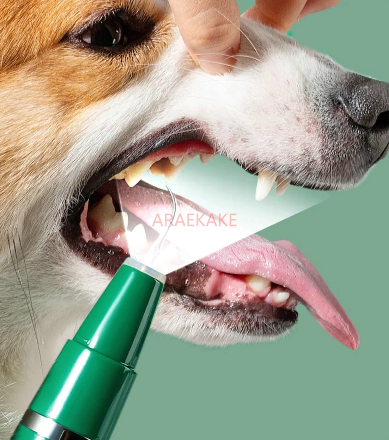 47501-bsqik3.jpg 1set Plaque Remover for Teeth - Pet Ultrasonic Cleaner - Teeth Cleaning Kit for Tartar and Stains - Suitable for Dogs and Cats - Image 1