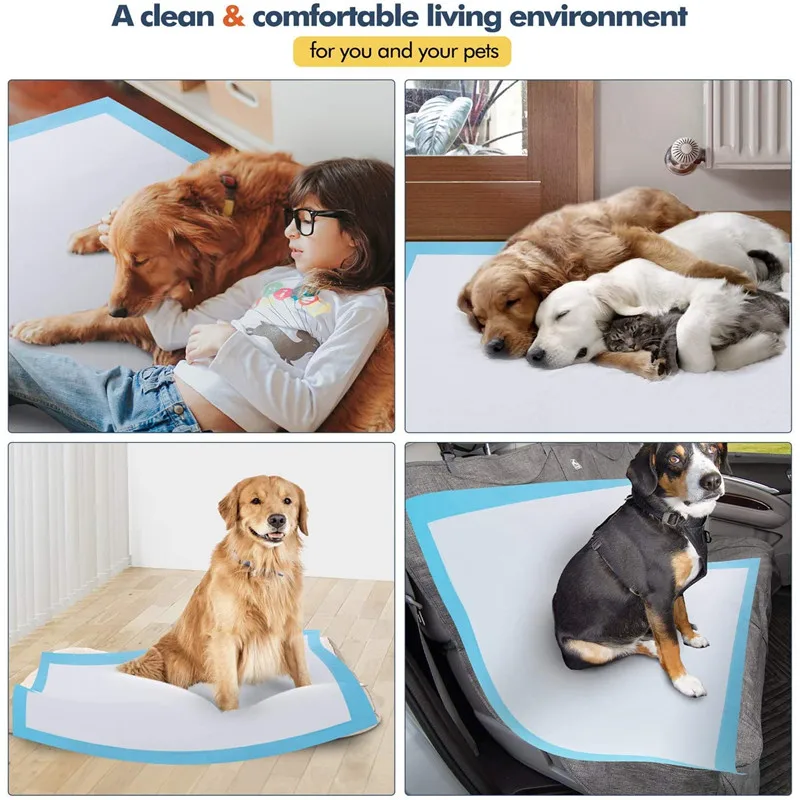 Diapers For Dogs Pet Disposable Nappy Mat Dog Diapers Absorbent Disposable Diapers Absorbent Pet Toilet Cat Disposable Nappy Mat Diapers For Dogs Pet Disposable Nappy Mat Dog Diapers Absorbent Disposable Diapers Absorbent Pet Toilet Cat Disposable Nappy Mat