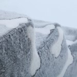 Ladder Dogs Pets Bone Shape Puppy Stairs Beside The Sofa Bed Ramp for Dogs Protecting Pet Joint Safety Stairs for Elderly Dogs - Image 5