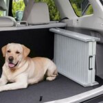Folding Portable Dog Ramp Foldable Car Ramp for Dogs Non-Slip Rug Surface Pet Ramp Stairs for Medium & Large Dogs Get Into A Car - Image 5