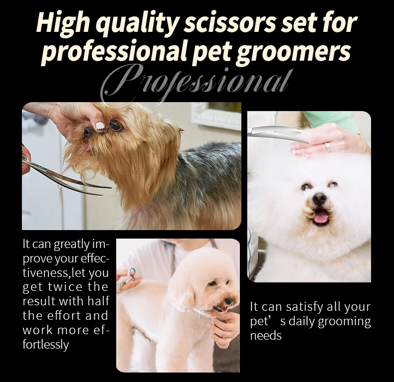 Fenice 6.5/7.0 inch High-end JP440C Alloy Steel Diamond Screw Grooming for Dogs Scissors Shears Kit for Dog Groomers Fenice 6.5/7.0 inch High-end JP440C Alloy Steel Diamond Screw Grooming for Dogs Scissors Shears Kit for Dog Groomers