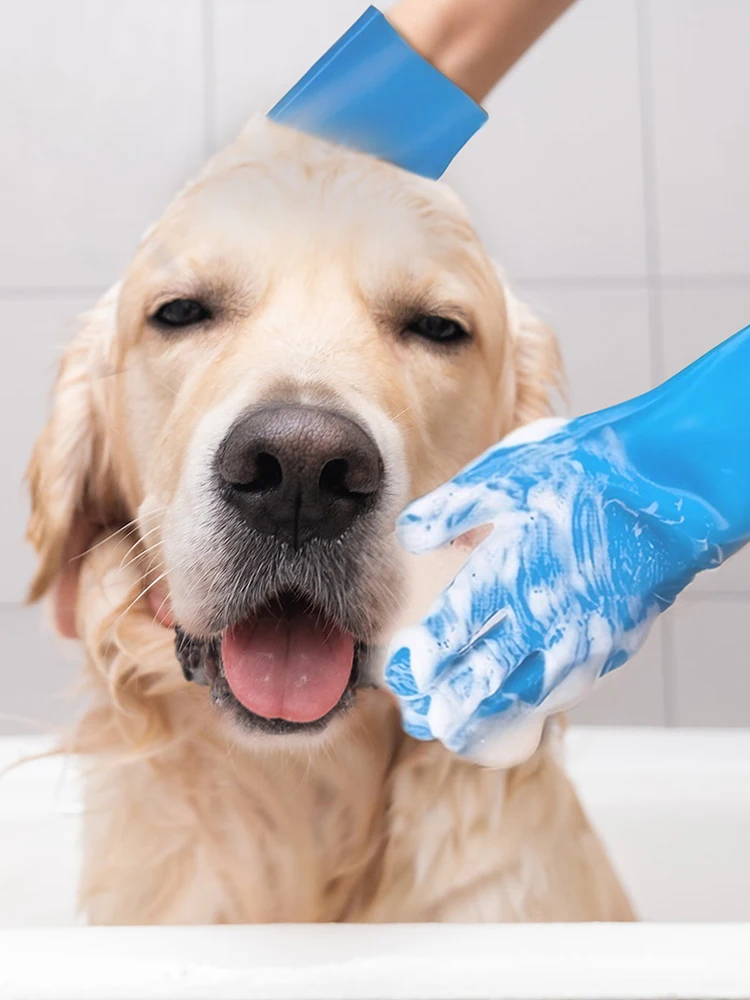 6PCS Pet Grooming Kit Silicone Dog Toothbrush Finger Dog Bath Gloves Dog Shampoo Brush Pet Grooming Gloves Dog Cat Bath Supplies 6PCS Pet Grooming Kit Silicone Dog Toothbrush Finger Dog Bath Gloves Dog Shampoo Brush Pet Grooming Gloves Dog Cat Bath Supplies