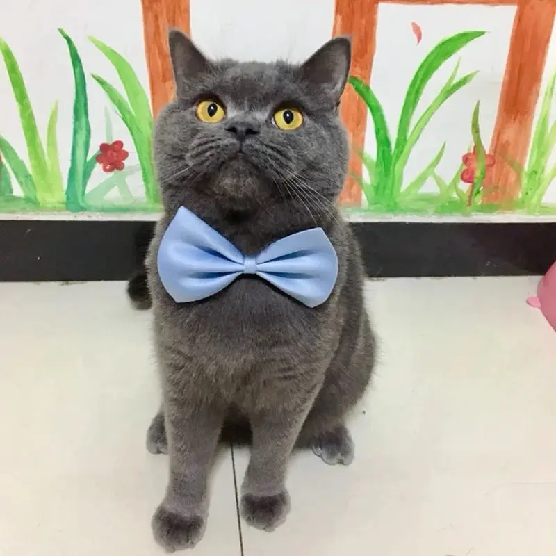 50pcs Mix Color Bow Ties Bowknot for Dogs Cat Grooming Accessories Small Animal Children Adjustable Bowtie Pet Product Wholesale