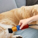 Pet Hair Clipper Low Noise High-efficiency Professional Electric Variable Speed Hair Shearing For Sheep Dogs Cats Pet - Image 3