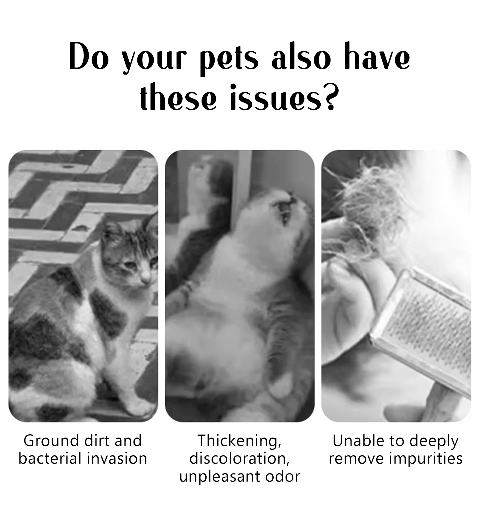 Dog Comb Pet Steam Massage Brush Safe Round Head Soft Teeth Spray Hair Removal Comb for Dog Universal for Cats Dogs Accessories