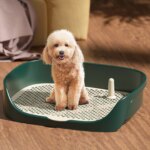 Pet Dog Toilet Portable Dog Potty Pan Trainer Litter Box Anti-Splash Pets Wc Toilet Puppy Kitten Cleaning Tool - Image 3