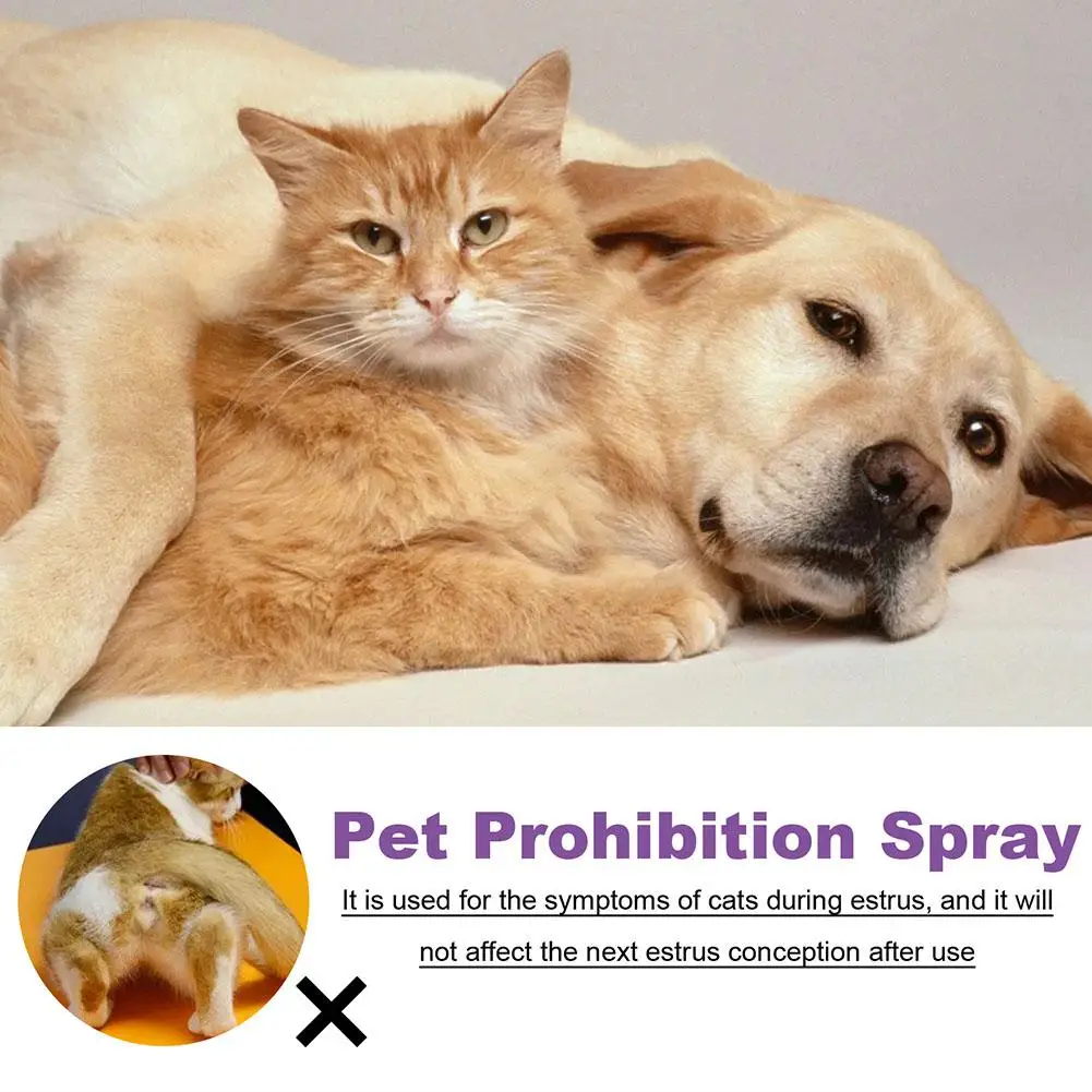 Pet Calming Spray Pet Supplies Pets Pheromone Calming Spray Improve Estrus Agitation Pet Anxiety Relief Spray Cat Dog Health Pet Calming Spray Pet Supplies Pets Pheromone Calming Spray Improve Estrus Agitation Pet Anxiety Relief Spray Cat Dog Health