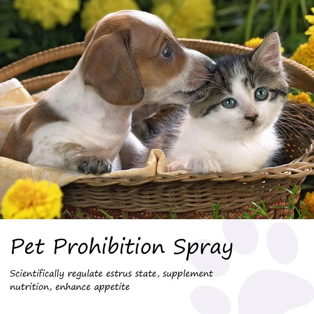 Pet Calming Spray Pet Supplies Pets Pheromone Calming Spray Improve Estrus Agitation Pet Anxiety Relief Spray Cat Dog Health Pet Calming Spray Pet Supplies Pets Pheromone Calming Spray Improve Estrus Agitation Pet Anxiety Relief Spray Cat Dog Health