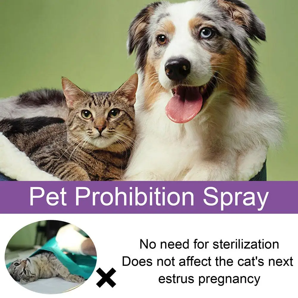 Pet Calming Spray Pet Supplies Pets Pheromone Calming Spray Improve Estrus Agitation Pet Anxiety Relief Spray Cat Dog Health Pet Calming Spray Pet Supplies Pets Pheromone Calming Spray Improve Estrus Agitation Pet Anxiety Relief Spray Cat Dog Health