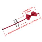 Stylish & Adjustable Pet Bowtie Collar: Make Your Dog Or Cat Look Fabulous! - Image 3