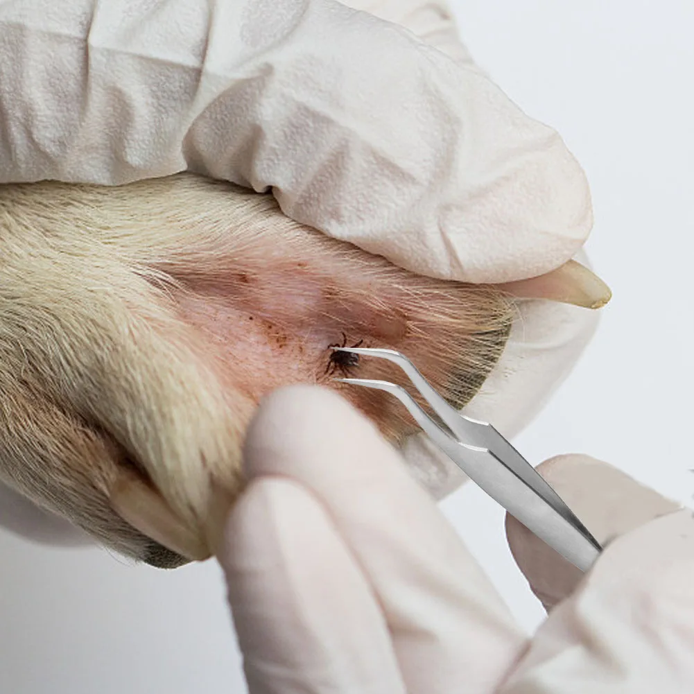 3 Pcs Tick Remover Hook Flea Remover Tweezer Tick Pull Pet Cat Dog Accessaries Ticks Removal Tools Flea Extractor Pet Supplies 3 Pcs Tick Remover Hook Flea Remover Tweezer Tick Pull Pet Cat Dog Accessaries Ticks Removal Tools Flea Extractor Pet Supplies