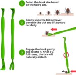 5pcs Flea Remover Hook Tick Removal Tweezer Ticks Pull Pet Cat Dog Accessaries Scratching Extractor Mite Tweezers Comb Louses P - Image 5