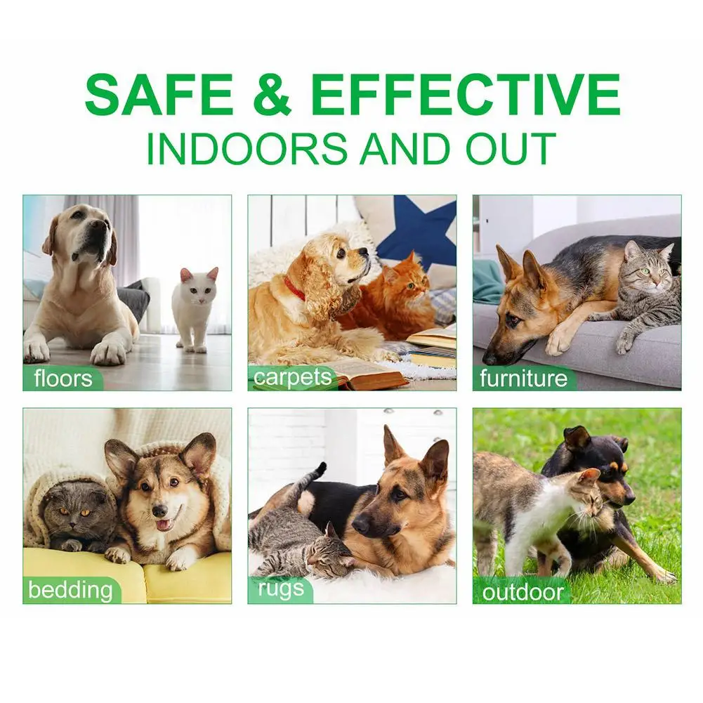 60ml Pet Pest Spray Pet Dog Anti-flea Mites Ticks Drops Kitten Pest Treatment Treatment Flea Puppy Kitten Puppy Spray 60ml Pet Pest Spray Pet Dog Anti-flea Mites Ticks Drops Kitten Pest Treatment Treatment Flea Puppy Kitten Puppy Spray