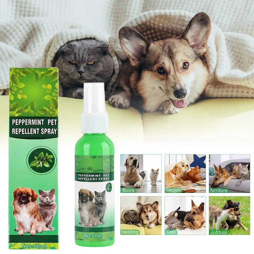 60ml Pet Pest Spray Pet Dog Anti-flea Mites Ticks Drops Kitten Pest Treatment Treatment Flea Puppy Kitten Puppy Spray 60ml Pet Pest Spray Pet Dog Anti-flea Mites Ticks Drops Kitten Pest Treatment Treatment Flea Puppy Kitten Puppy Spray