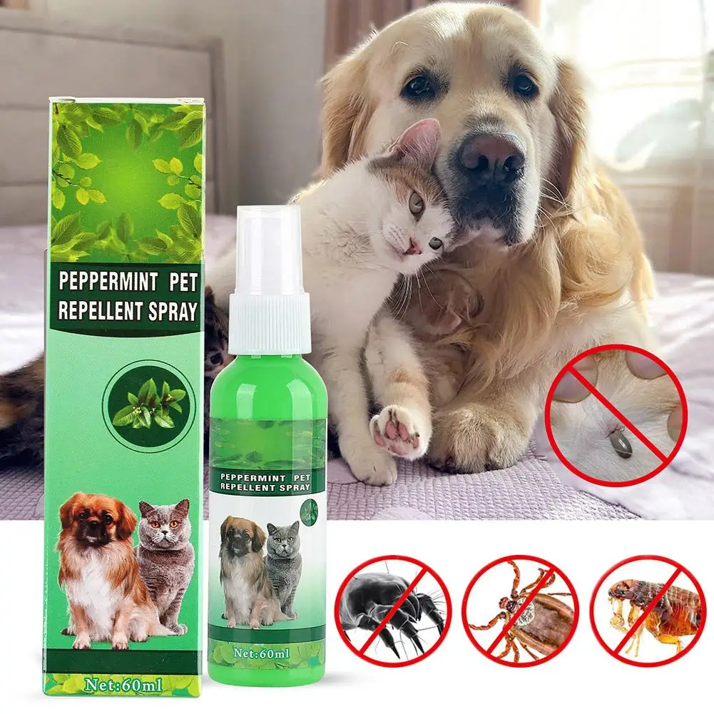 60ml Pet Pest Spray Pet Dog Anti-flea Mites Ticks Drops Kitten Pest Treatment Treatment Flea Puppy Kitten Puppy Spray 60ml Pet Pest Spray Pet Dog Anti-flea Mites Ticks Drops Kitten Pest Treatment Treatment Flea Puppy Kitten Puppy Spray