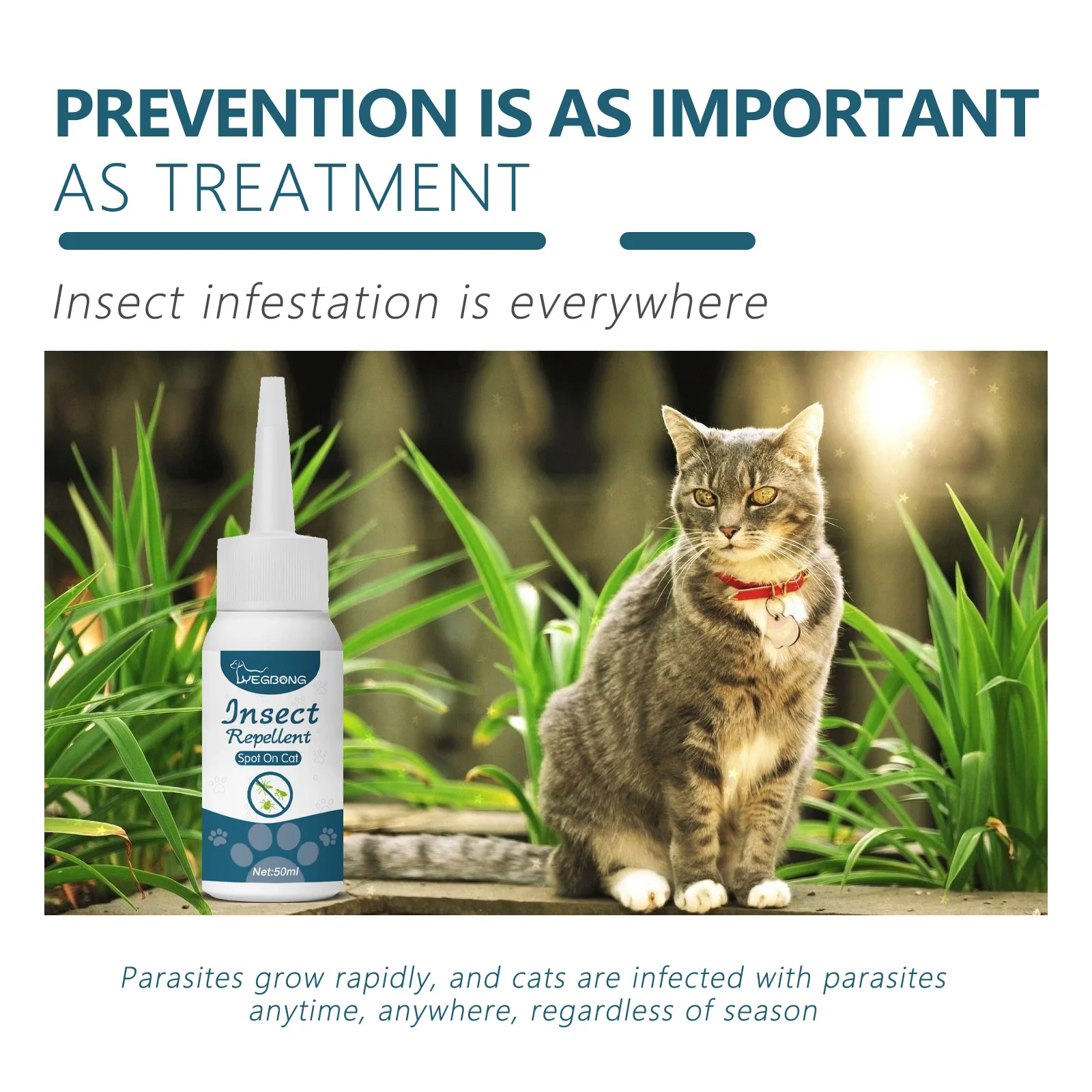 Pet Flea Killer Drops Anti Fleas Cats Ticks Lice Mite Removal Relieve Itching Dogs Ringworm Treatment Pet Skin Care Spray Pet Flea Killer Drops Anti Fleas Cats Ticks Lice Mite Removal Relieve Itching Dogs Ringworm Treatment Pet Skin Care Spray