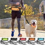 Hands Free Dog Leash for Running Walking Reflective Leash with Waist Bag Retractable Elastic Belt Dog Traction Rope Pet Products - Image 2