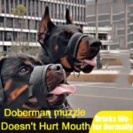 Dog Muzzle Anti-Bite And Anti-barking Outdoor Dog Walking Anti-Licking And Eating Mouth Cover Husky Small Medium And Large Dogs
