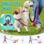 1.6ft Long Dual Dog Leash Attachment - Double Leashes for Training Small to Large Dogs - Adjustable Strap Shock Absorbing Bungee - Image 3